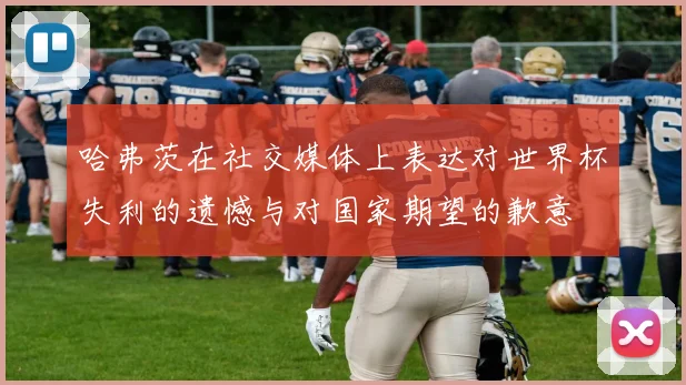 哈弗茨在社交媒体上表达对世界杯失利的遗憾与对国家期望的歉意