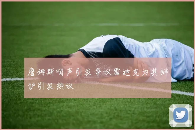 詹姆斯哨声引发争议雷迪克为其辩护引发热议