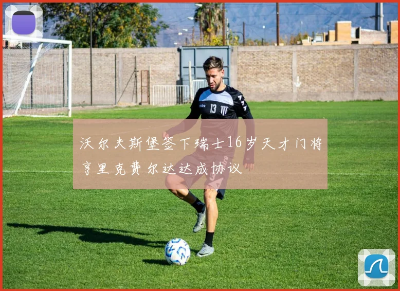 沃尔夫斯堡签下瑞士16岁天才门将亨里克费尔达达成协议
